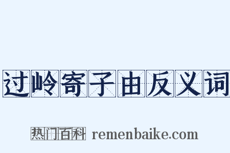 过岭寄子由反义词是什么意思的图片